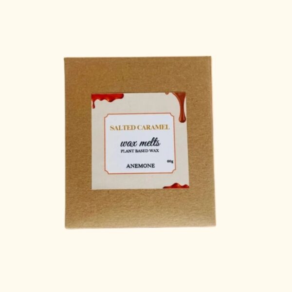 wax melts αλατισμενη καραμελα