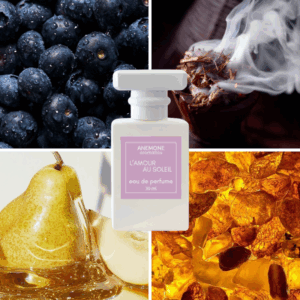 l'amour au soleil anemone